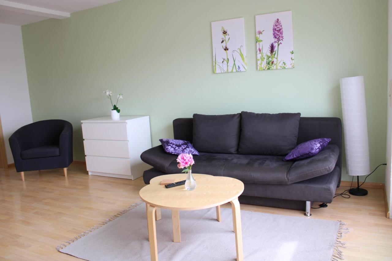 Winzerhof Senn Appartement Vogtsburg Buitenkant foto