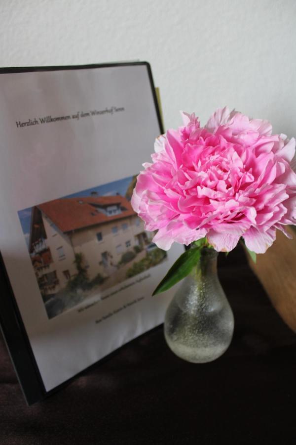 Winzerhof Senn Appartement Vogtsburg Buitenkant foto