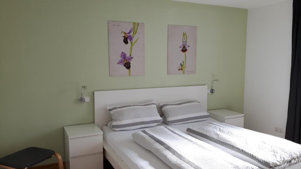 Winzerhof Senn Appartement Vogtsburg Buitenkant foto